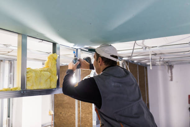 Best Professional Insulation Contractor  in Mountain Home, NC