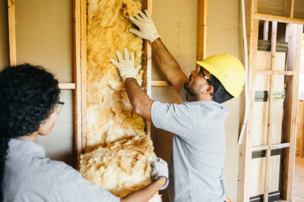 Best Fiberglass Insulation  in Mountain Home, NC